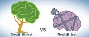 Read more about the article Growth Mindset & Fixed Mindset